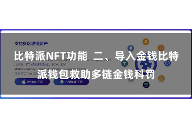 比特派NFT功能 二、导入金钱比特派钱包救助多链金钱科罚