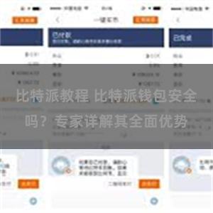 比特派教程 比特派钱包安全吗？专家详解其全面优势