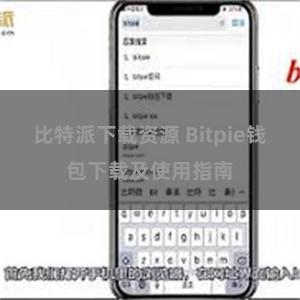 比特派下载资源 Bitpie钱包下载及使用指南