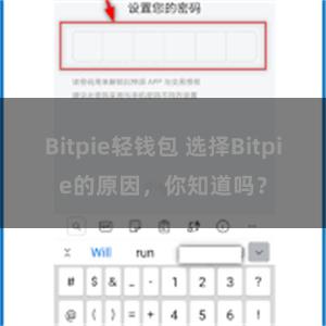 Bitpie轻钱包 选择Bitpie的原因，你知道吗？