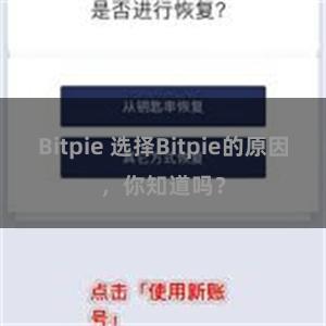 Bitpie 选择Bitpie的原因，你知道吗？