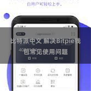 比特派中文 解决Bitpie钱包常见使用问题