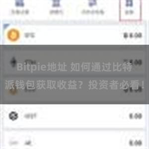 Bitpie地址 如何通过比特派钱包获取收益？投资者必看！
