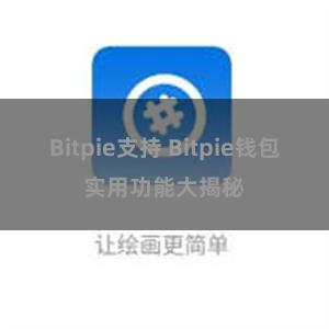 Bitpie支持 Bitpie钱包实用功能大揭秘