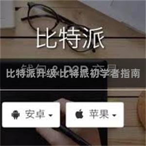 比特派升级 比特派初学者指南
