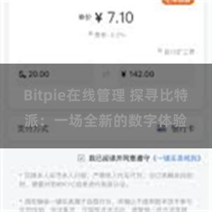 Bitpie在线管理 探寻比特派：一场全新的数字体验