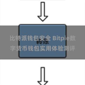 比特派钱包安全 Bitpie数字货币钱包实用体验测评
