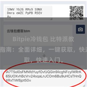 Bitpie冷钱包 比特派教程下载指南：全面详细，一键获取，快速入门。