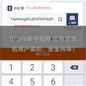 Bitpie新手指南 比特派钱包用户需知，安全向导！