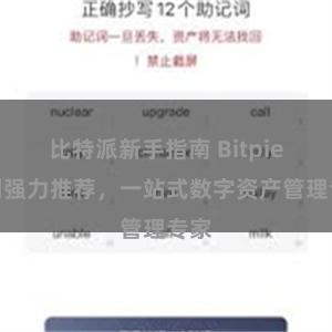 比特派新手指南 Bitpie官网强力推荐，一站式数字资产管理专家