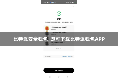 比特派安全钱包 即可下载比特派钱包APP