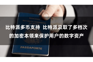 比特派多币支持  比特派汲取了多档次的加密本领来保护用户的数字资产