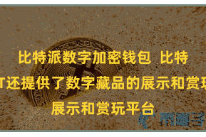 比特派数字加密钱包  比特派NFT还提供了数字藏品的展示和赏玩平台